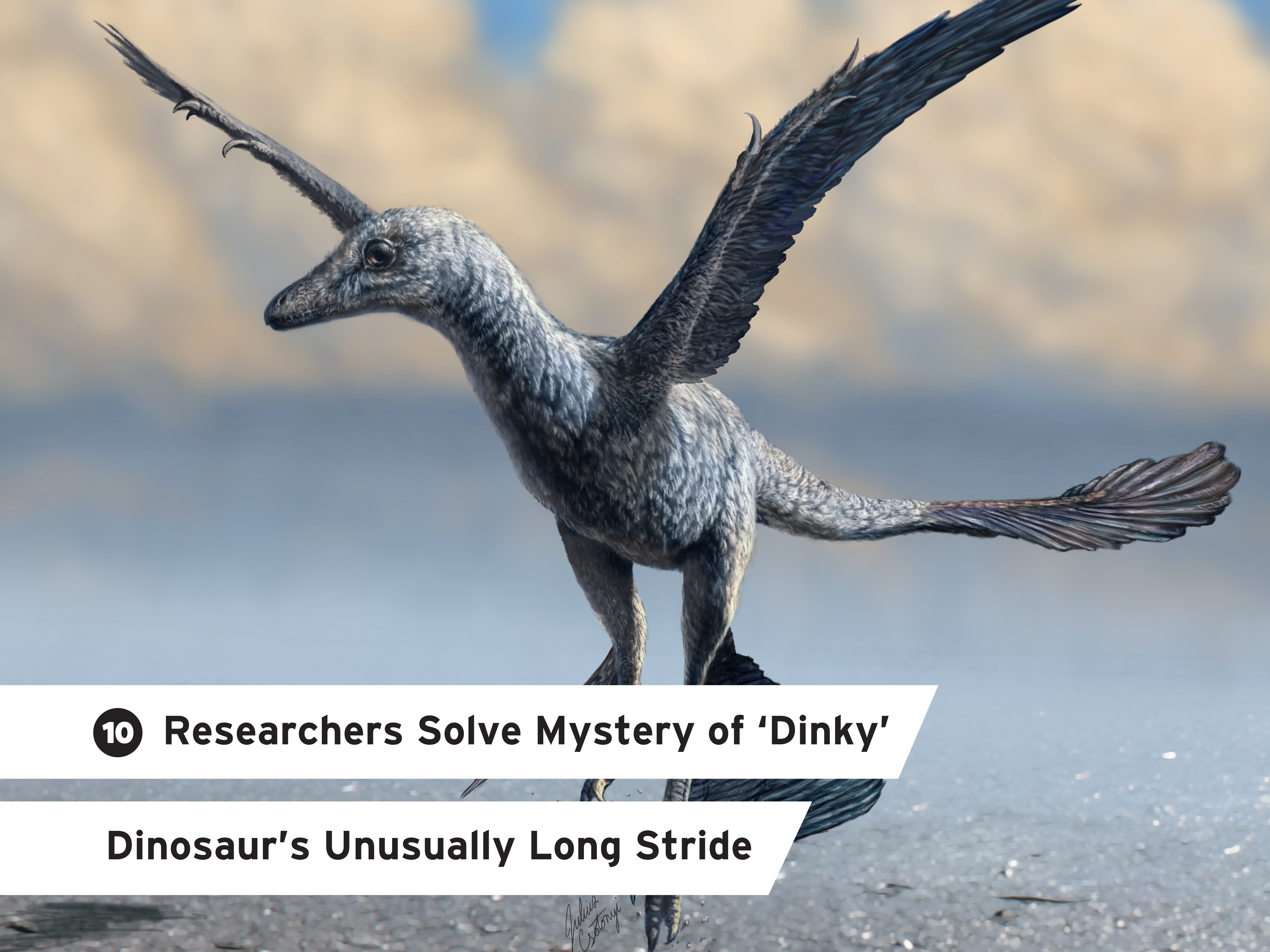 10. Researchers Solve Mystery of ‘Dinky’ Dinosaur’s Unusually Long Stride