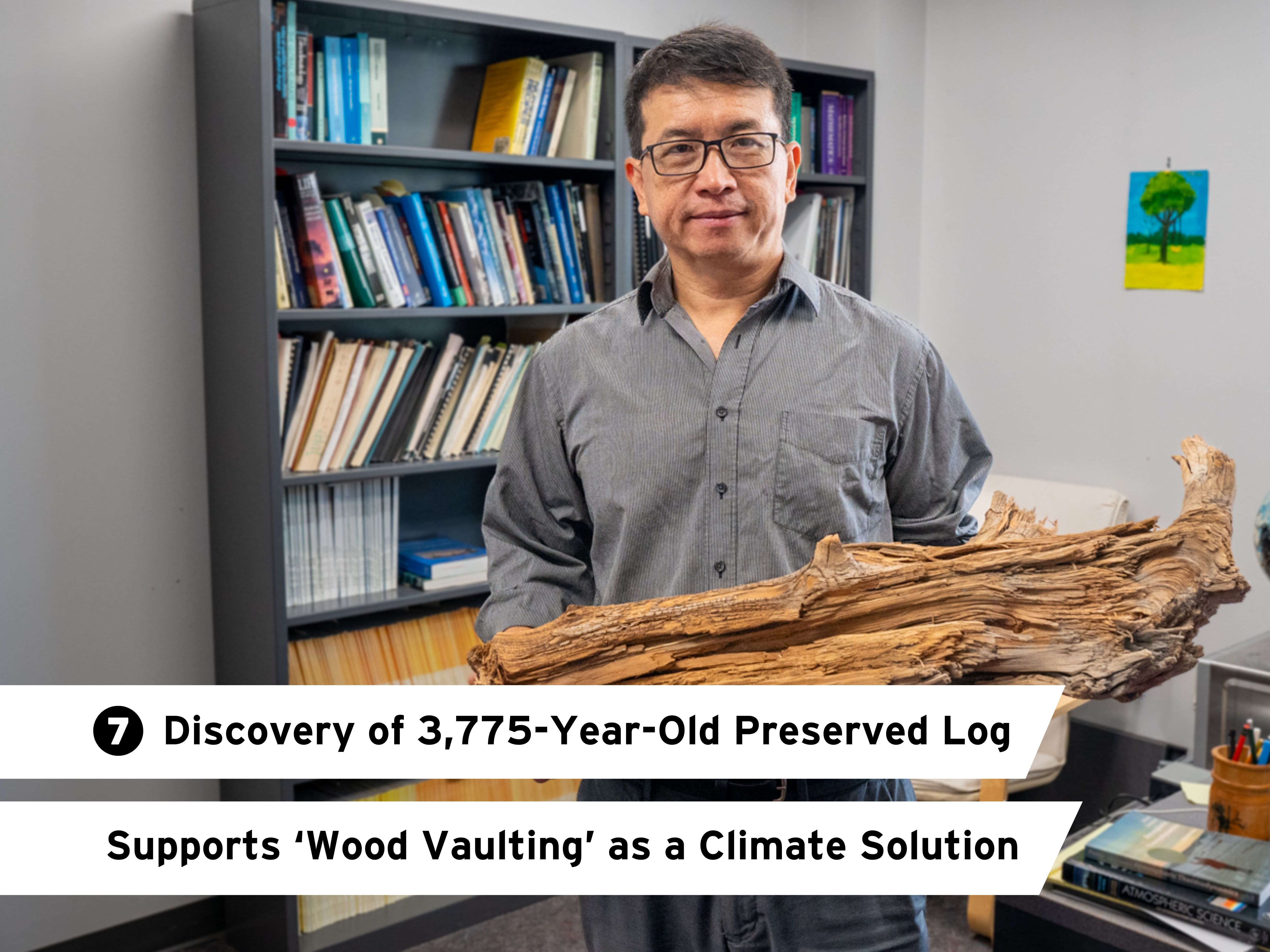 7. Discovery of 3,775-Year-Old Preserved Log Supports ‘Wood Vaulting’ as a Climate Solution