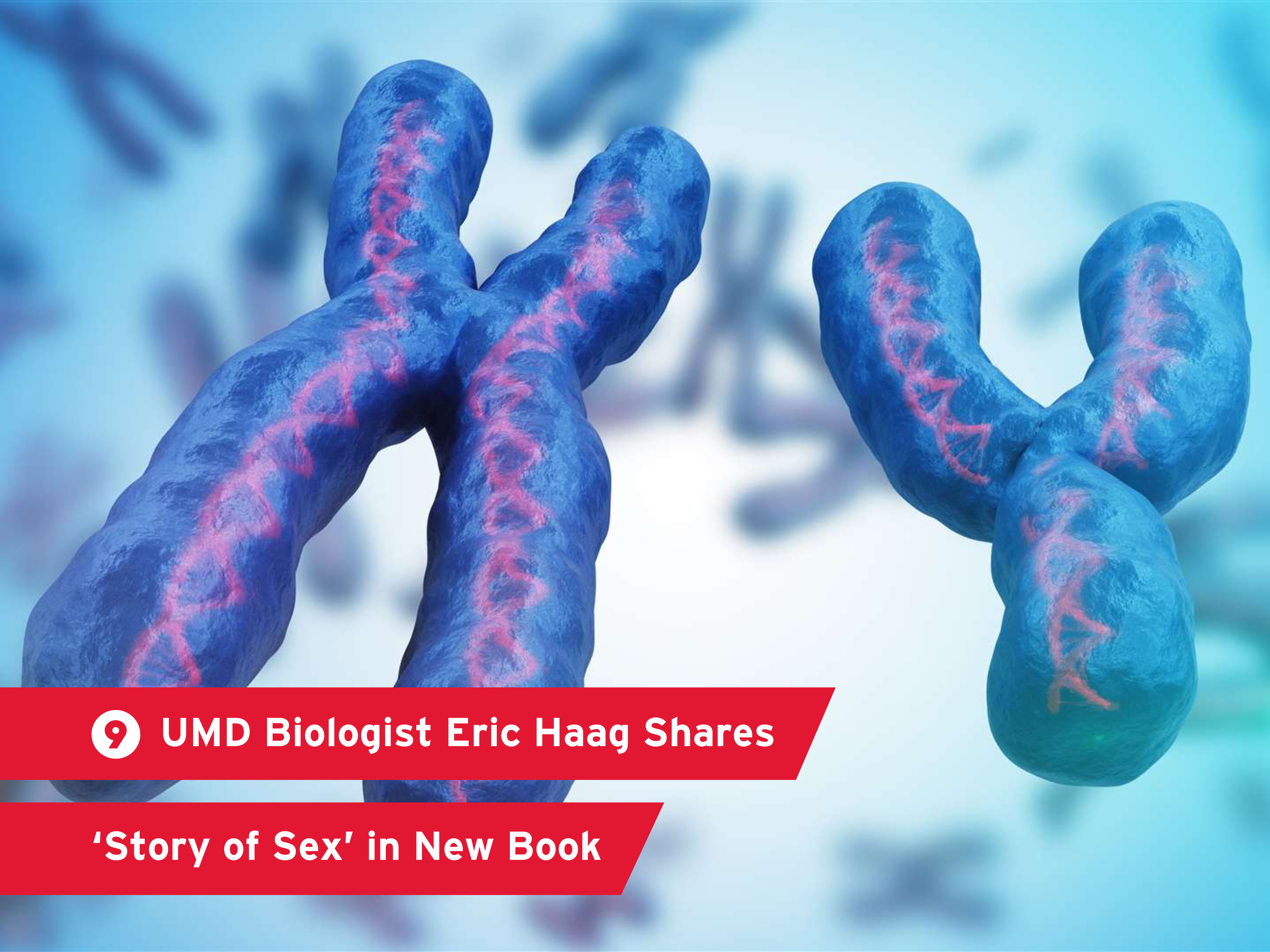 9. UMD Biologist Shares ‘Story of Sex’ in New Book