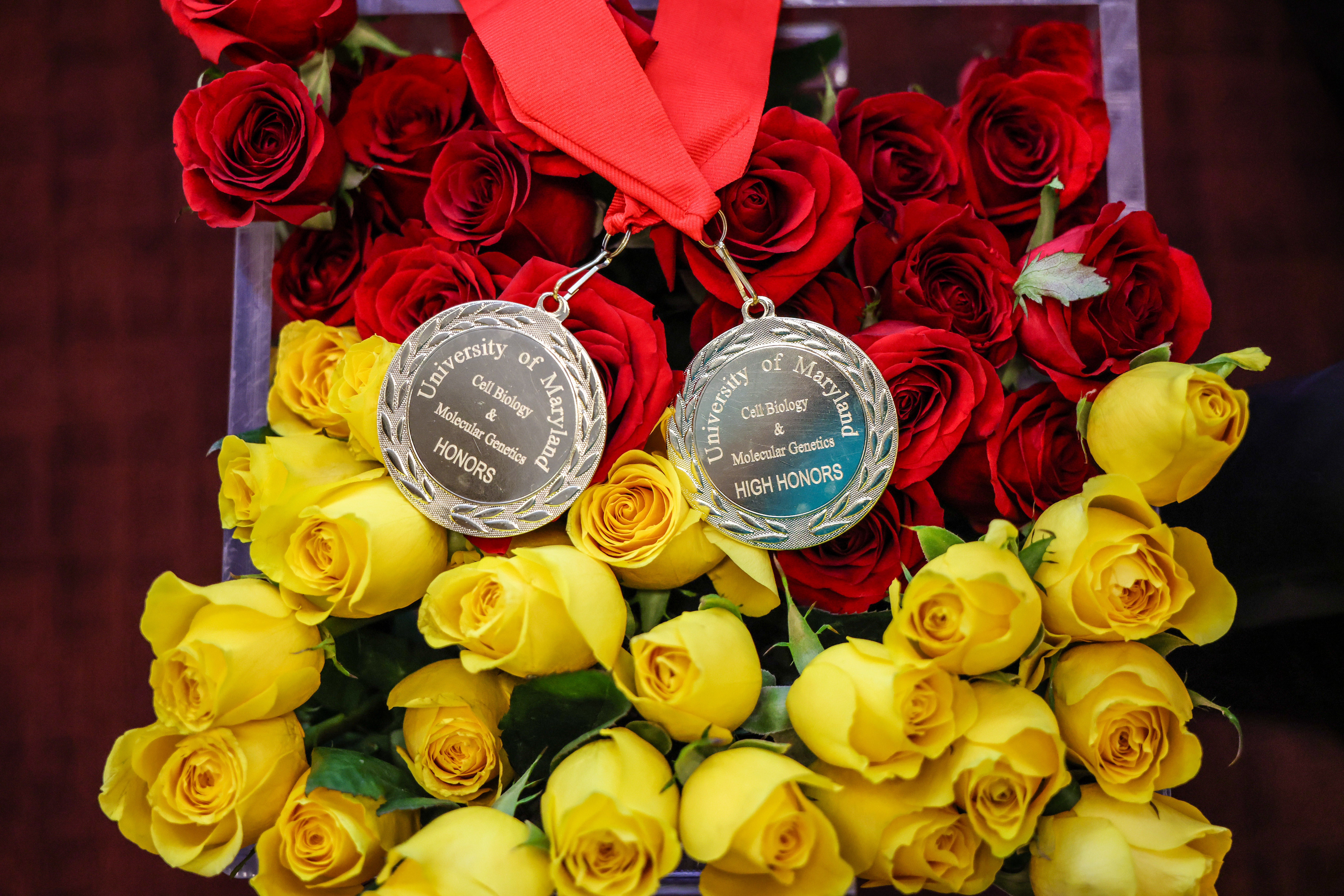 CBMG Awards Medals