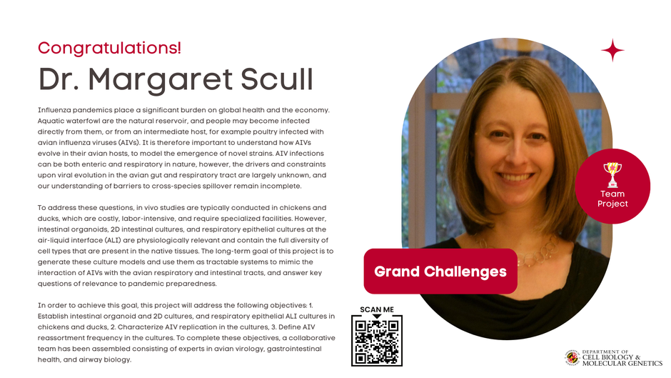 Grand Challenges Grant Awarded to Margaret Scull