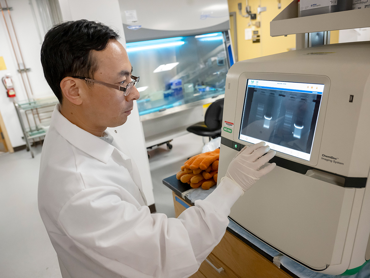 Professor Lanny Ling working in his lab.