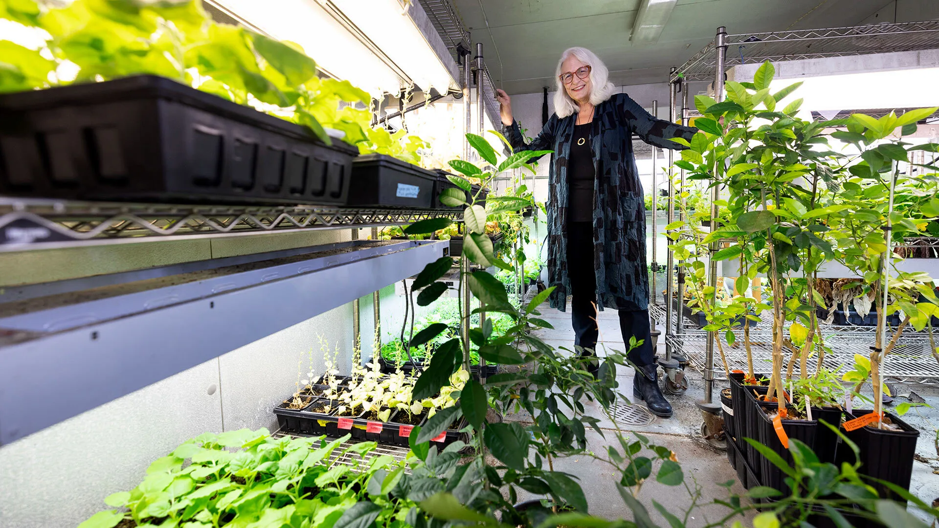 Simon Anne Lab Plants Gift 11062025 JC 9148 1920x1080