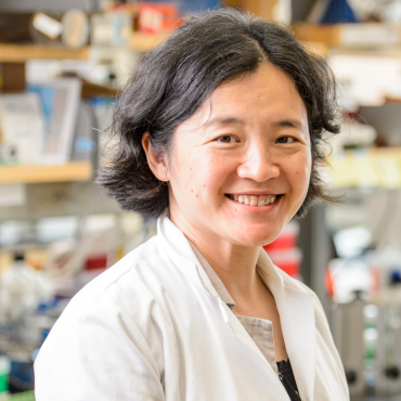 Headshot of Jue Wang