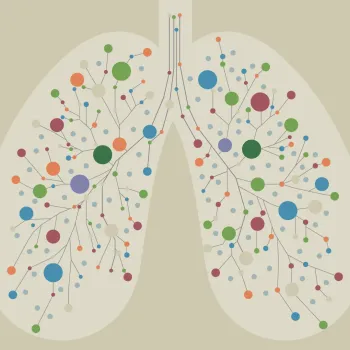 Lungs graphic stock image