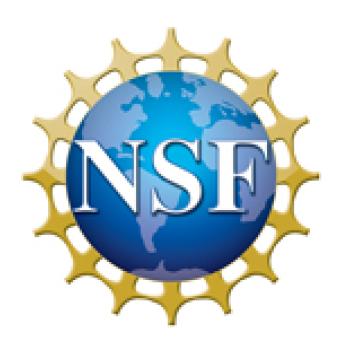 NSF logo