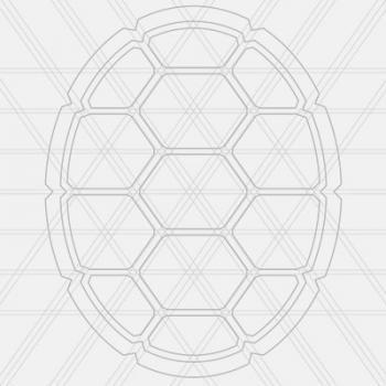 placeholder shell
