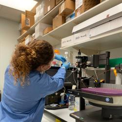  A woman in blue works at the bench in a lab.