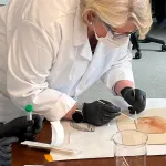 researcher in mask swabs back of "Holy Child"