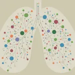 Lungs graphic stock image