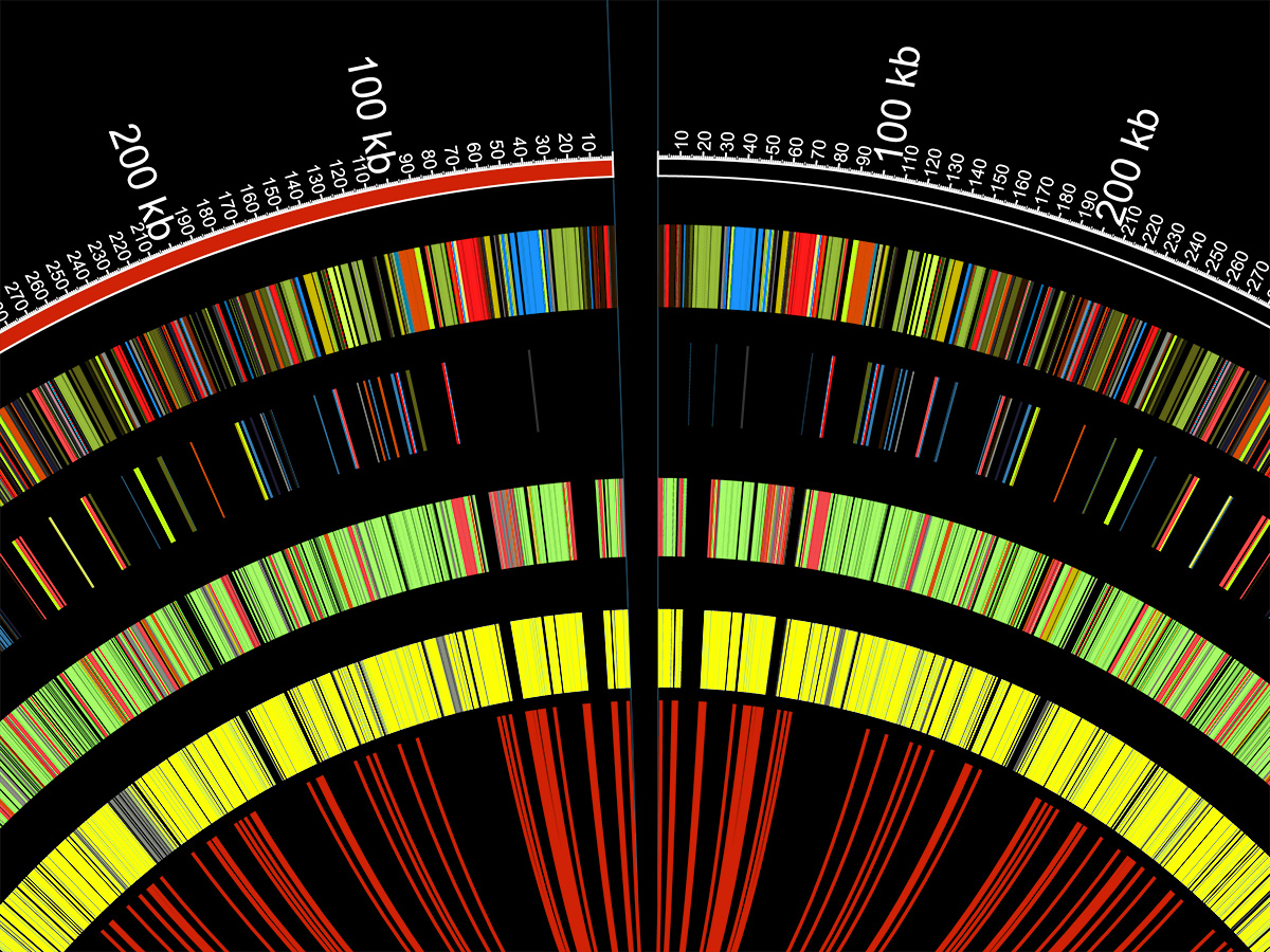 Genetics and Genomics