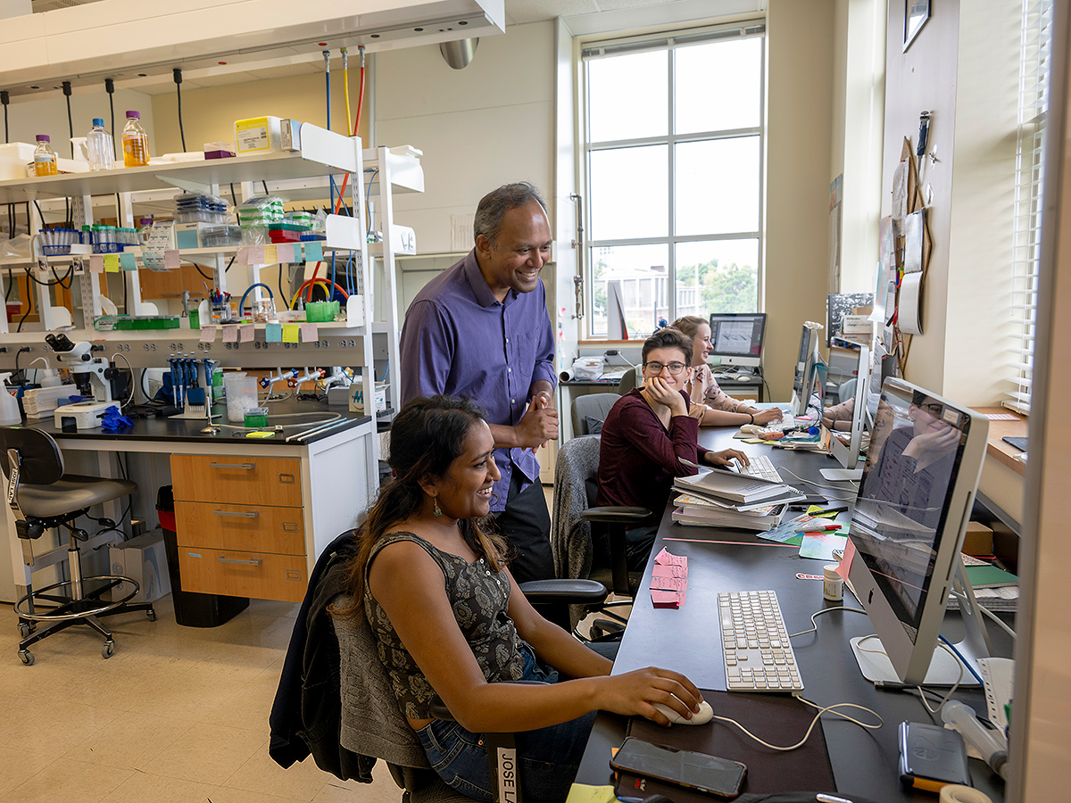 Research in a Faculty Lab